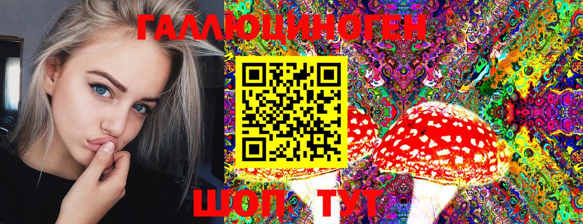 Псилоцибиновые грибы MAGIC MUSHROOMS  что такое   Галлюциногенные грибы прущие грибы  Заводоуковск  Вход с VPN 